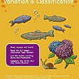 CE/KS3 Science: Biology: Variation & Classification