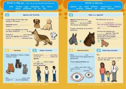 Common Entrance KS3 Science Revision Book