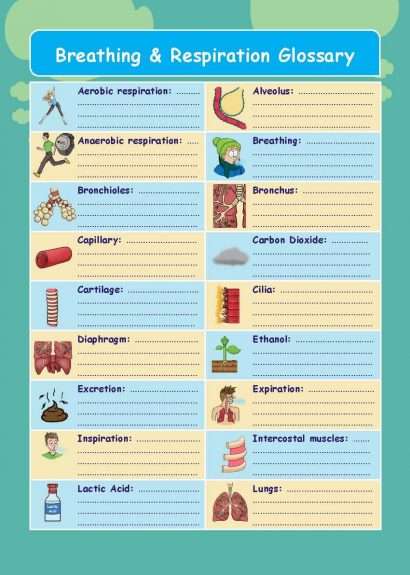 Common Entrance KS3 Science Revision Glossary