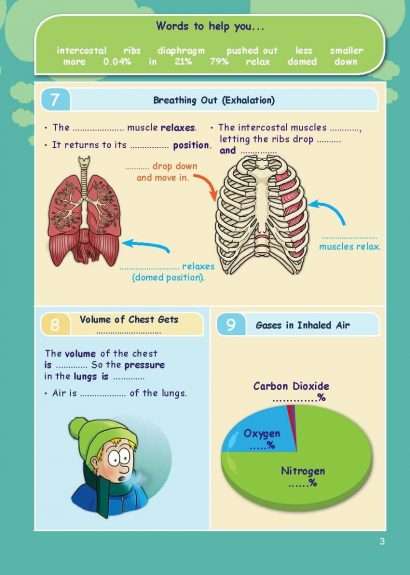 CE/KS3 Science: Biology: Breathing & Respiration