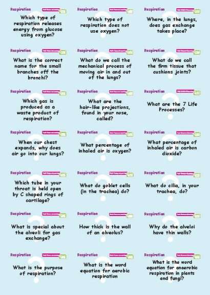 Common Entrance KS3 Science Revision Flashcards