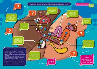 Common Entrance KS3 Science Revision Game