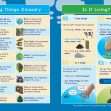 KS2 Science: Biology: Living Things & Their Habitats