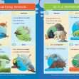 KS2 Science: Biology: Living Things & Their Habitats