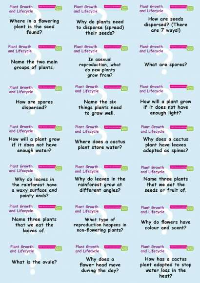 KS2 Science: Biology: Plant Growth & Lifecycles