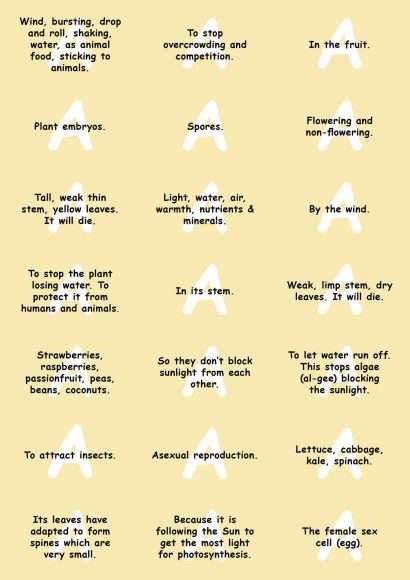 KS2 Science: Biology: Plant Growth & Lifecycles