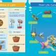 KS2 Science: Biology: Plant Growth & Lifecycles