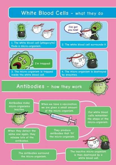 Common Entrance KS3 Science Revision Mind Map