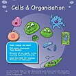 CE/KS3 Science: Biology: Cells & Organisation (Part 1)