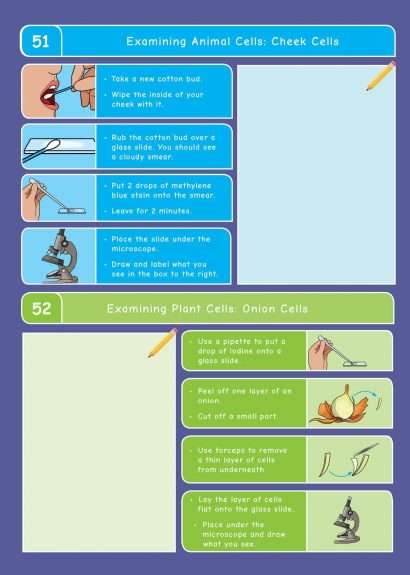 Common Entrance KS3 Science Revision Book