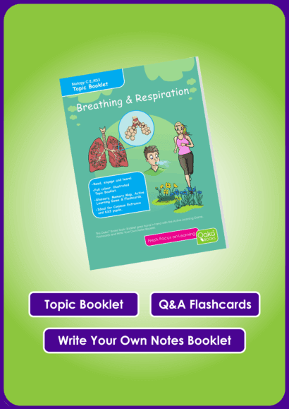 CE/KS3 Revision Bundle - 49 KS3/CE Topics - Image 3