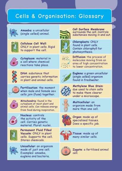 Common Entrance KS3 Science Revision Glossary