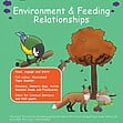 CE/KS3 Science: Biology: Environment & Feeding Relationships