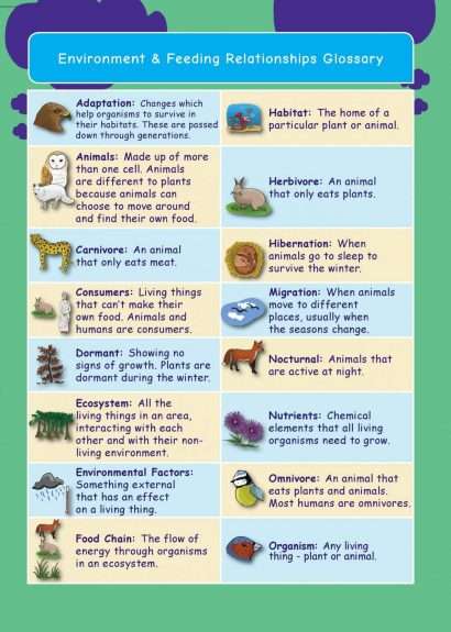 Common Entrance KS3 Science Revision Glossary