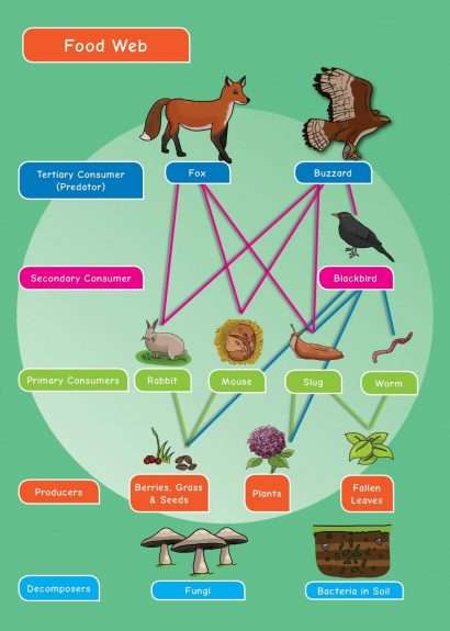 Common Entrance KS3 Science Revision Mind Map