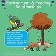 CE/KS3 Science: Biology: Environment & Feeding Relationships