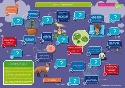 Common Entrance KS3 Science Revision Game