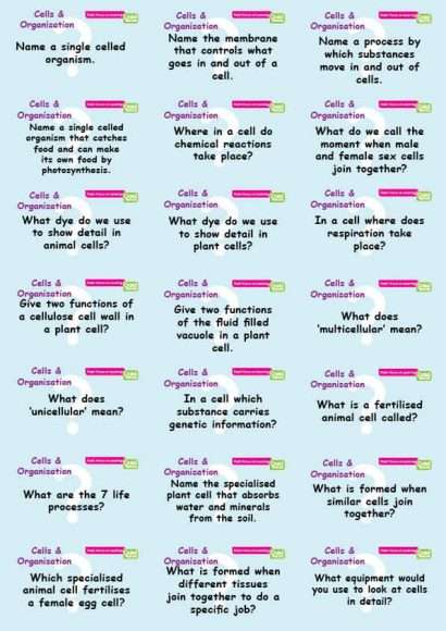 Common Entrance KS3 Science Revision Flashcards