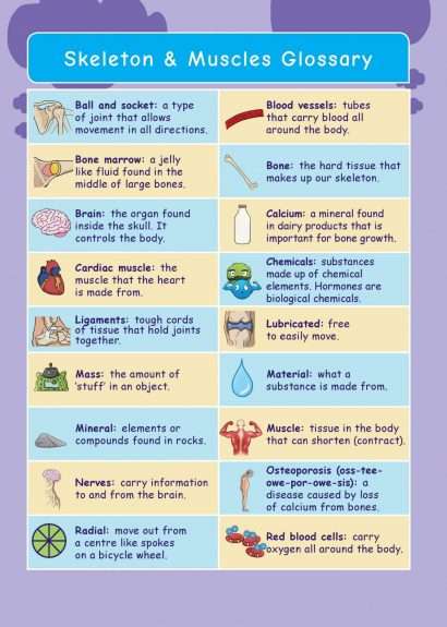 Common Entrance KS3 Science Revision Glossary