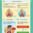 CE/KS3 Science: Biology: Breathing & Respiration