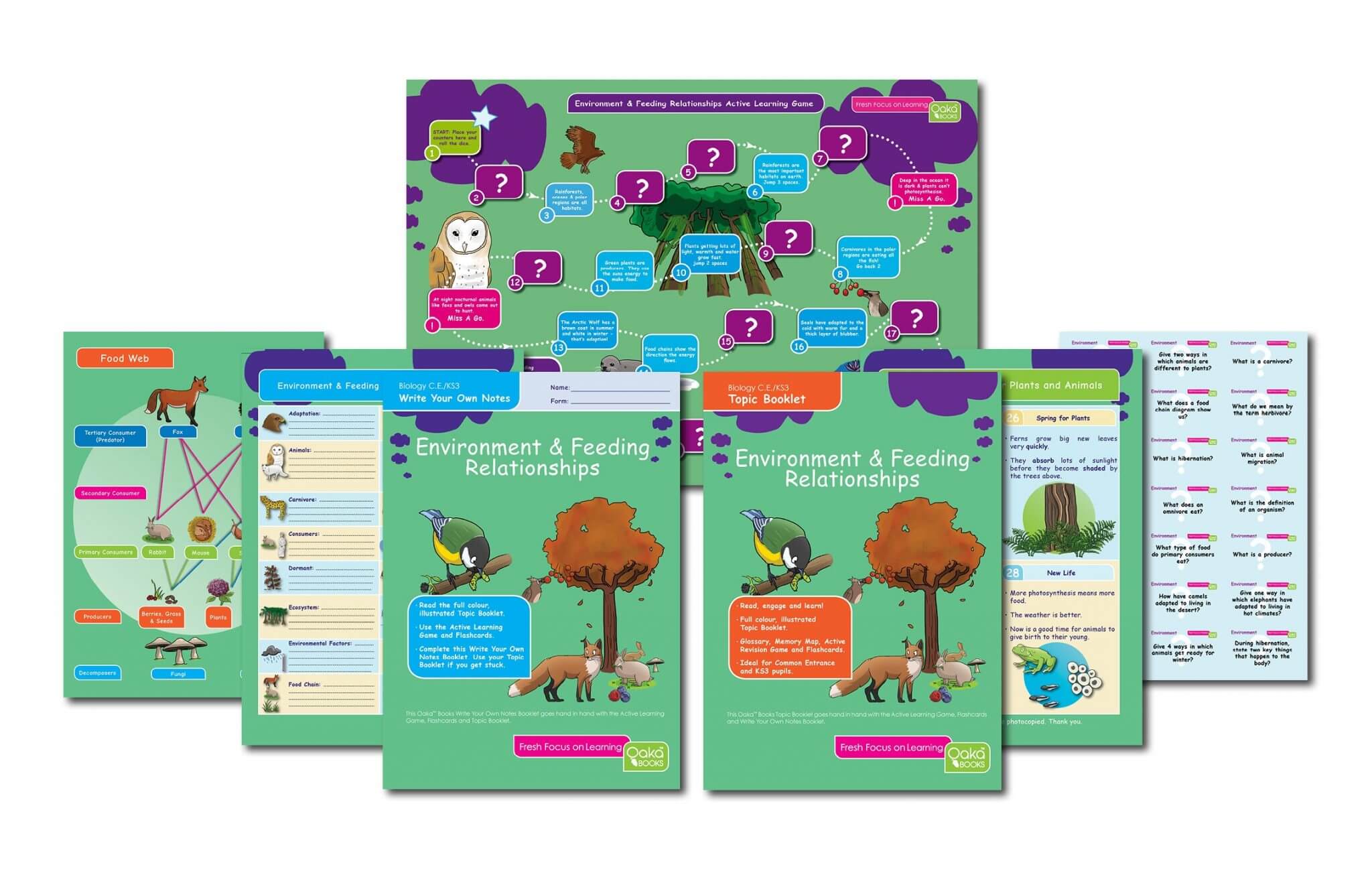 CE/KS3 Science: Biology: Environment & Feeding Relationships