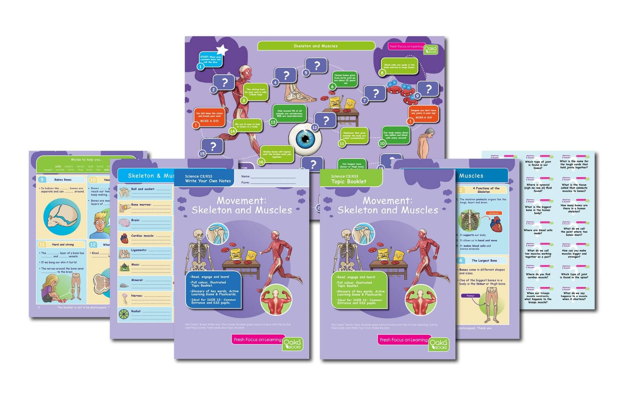 CE/KS3 Science: Biology: Movement: Skeletons & Muscles.
