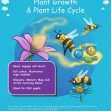 KS2 Science: Biology: Plant Growth & Lifecycles