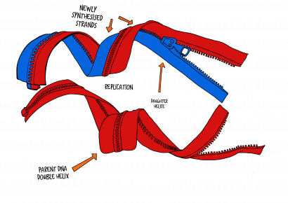 Dr Susie Nyman's Multi-Sensory Teaching Toolkit - TEACHER MUST HAVE!