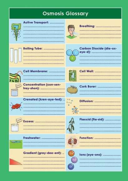 GCSE/KS4 Biology: Osmosis
