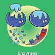 GCSE/KS4 Biology: Enzymes