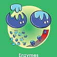 GCSE/KS4 Biology: Enzymes