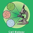 GCSE/KS4 Biology: Cell Biology