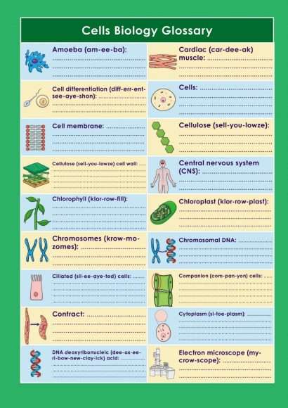 GCSE/KS4 Biology: Cell Biology