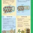 GCSE/KS4 Biology: Cell Biology