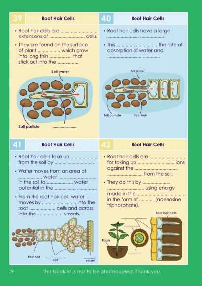 GCSE/KS4 Biology: Cell Biology