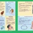 GCSE/KS4 Biology: The Cardiovascular and Respiratory System