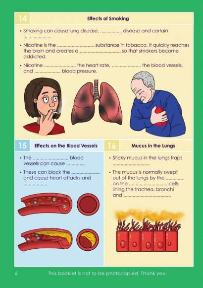 GCSE/KS4 Biology: The Cardiovascular and Respiratory System
